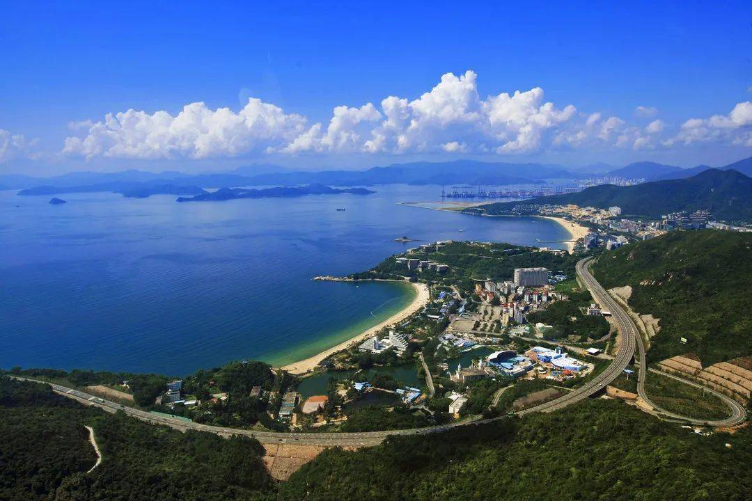 事业单位梧桐引凤深圳市盐田区2020年公开招聘事业单位人员及公共事务