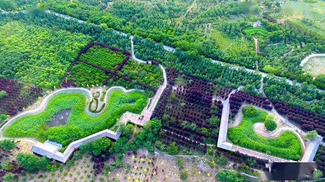 秦安县凤山广场规划图片