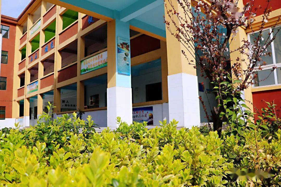 重磅巢湖人民路小学新增一校区就在