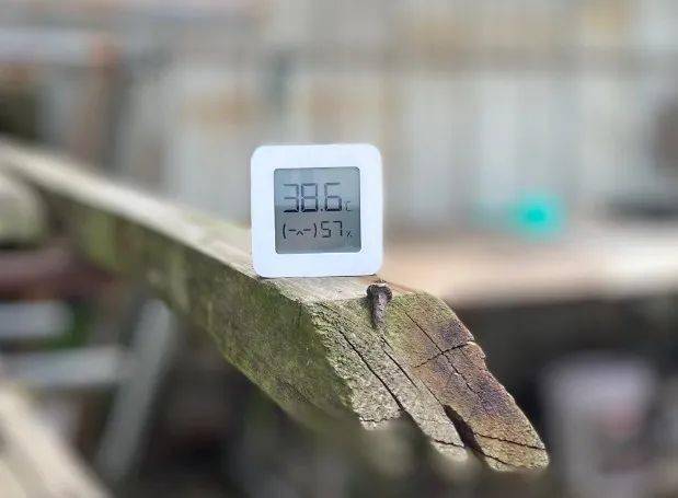 室内外温差8度!住进这栋"绿房子",连空调都省了