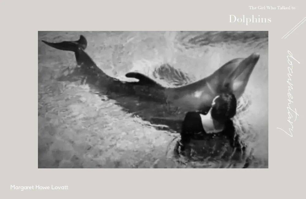 美国nasa的黑暗实验训练员和海豚产生恋情结局令人心碎