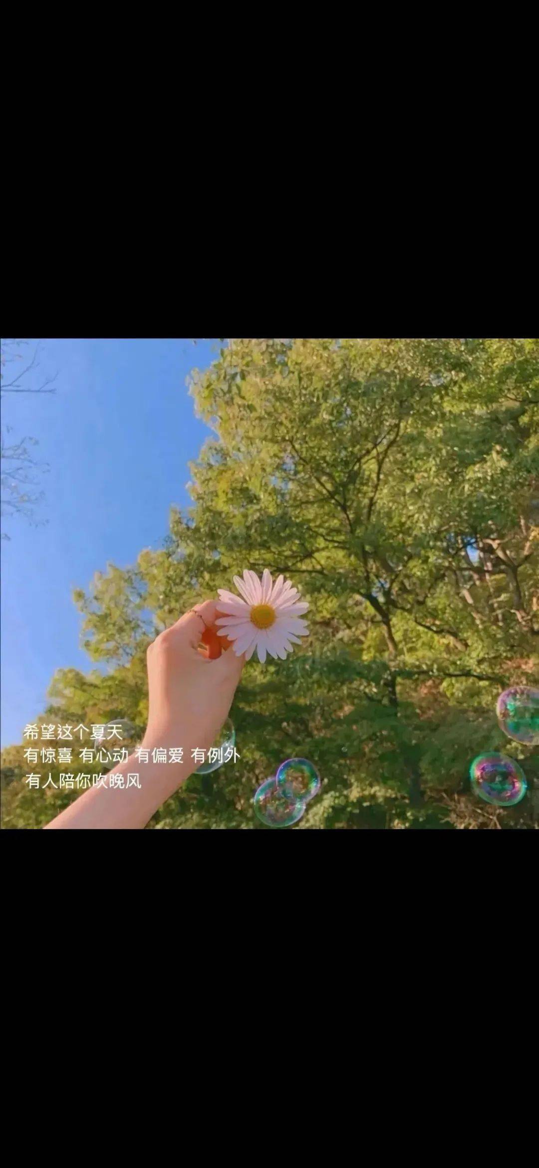 接受自己的普通,然后全力以赴的出众