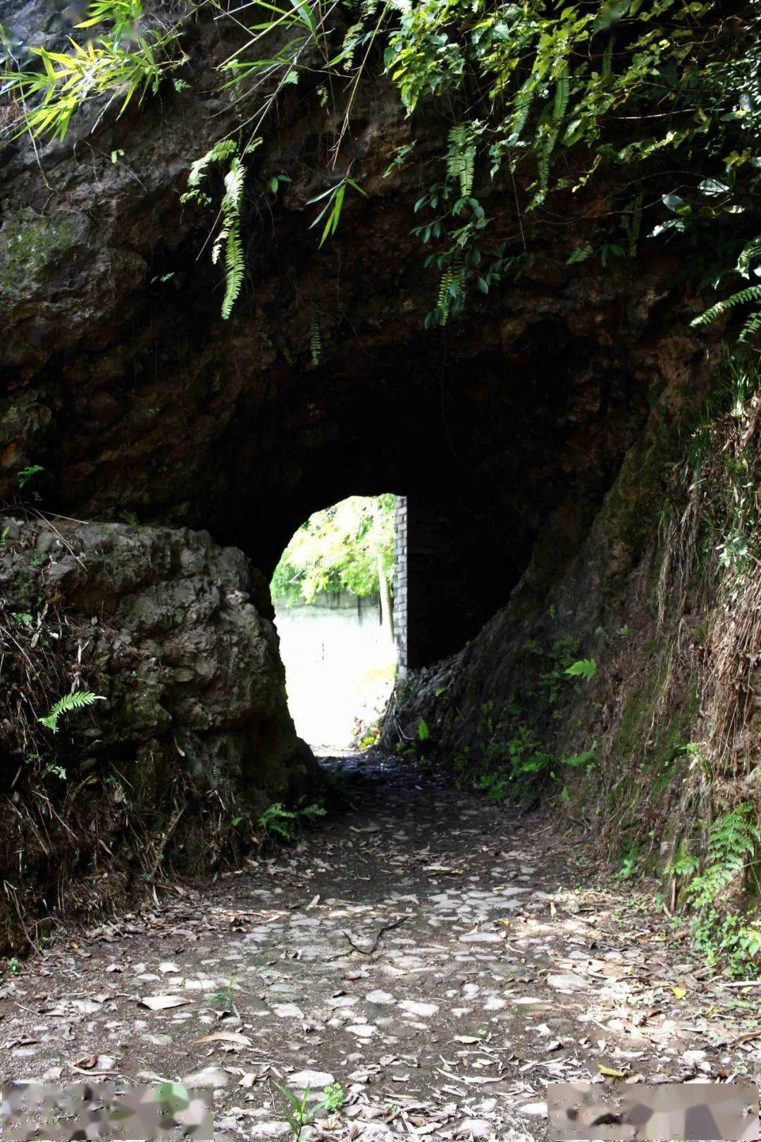 中山黄圃镇海蚀遗址图片