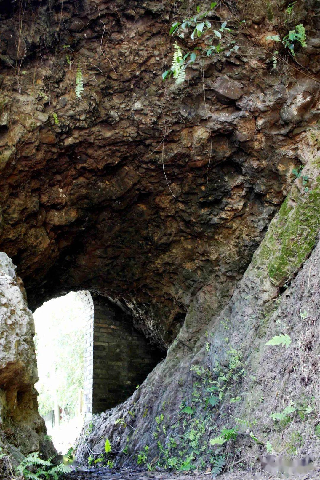 中山黄圃镇海蚀遗址图片