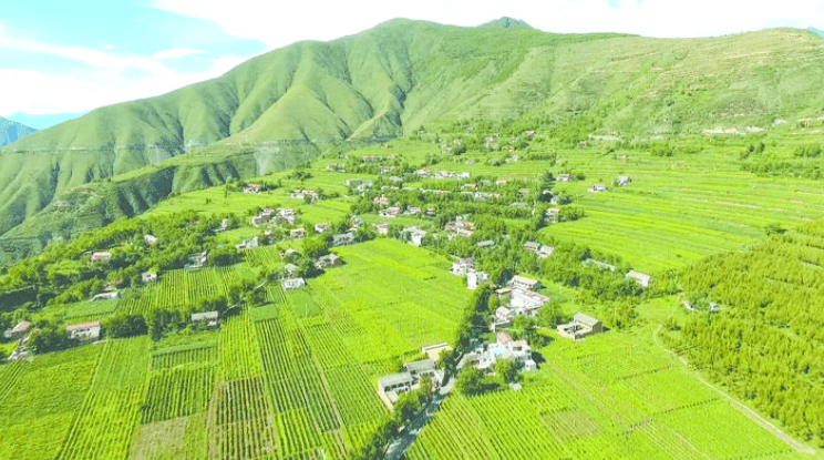 【脱贫亲历】金川县生态建设助力脱贫攻坚小记