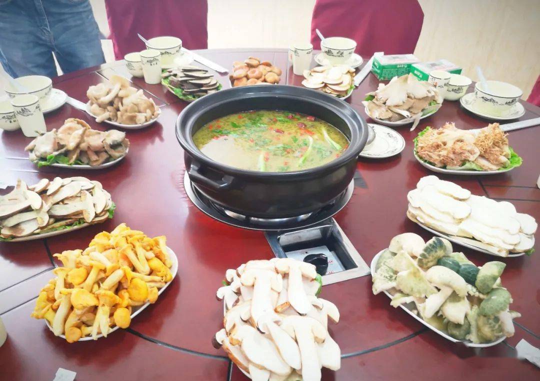 今日禄劝※八月,邀你到禄劝赴一场菌子宴