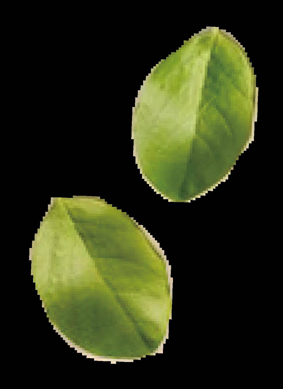 茶艺培训班宣传资料_茶艺简单的培训内容_茶艺短期培训班