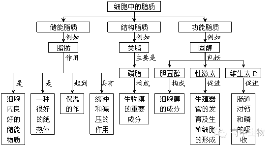 高中生物:必修一各章節知識點圖解,收藏收藏_細胞