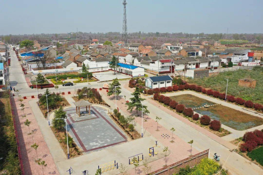 焦作唯一孟州获全省2019年度农村人居环境整治先进县称号