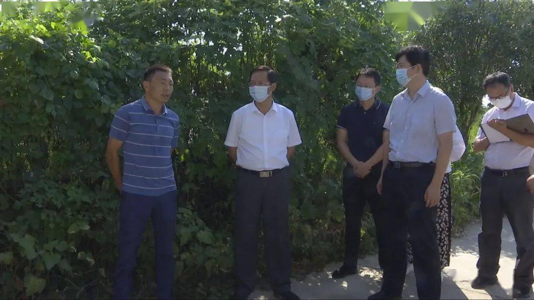 孝感市领导调研我市农业农村重点工作
