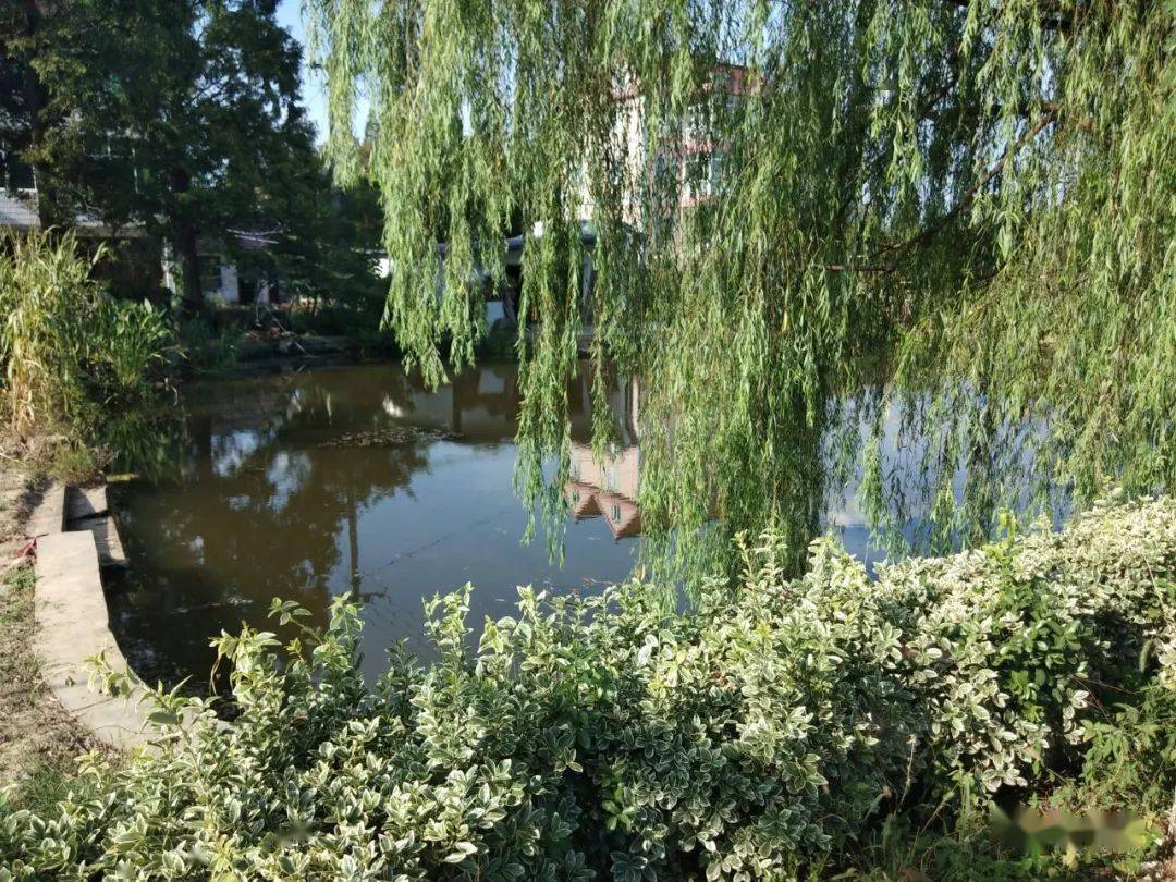 桐乡寻找晏城一个两千多年的地名