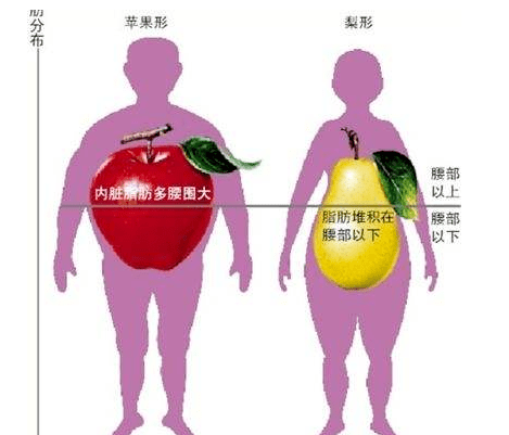 第一点是激素原因,女性的雌激素让脂肪更容易在臀部和大腿根部储存,而