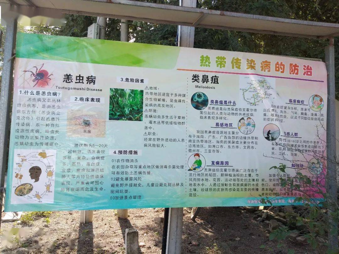 三下乡科研篇海口地区恙虫病流行病学调查