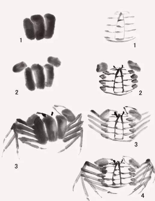 教你怎麼簡單幾步學會畫魚蝦蟹含教程