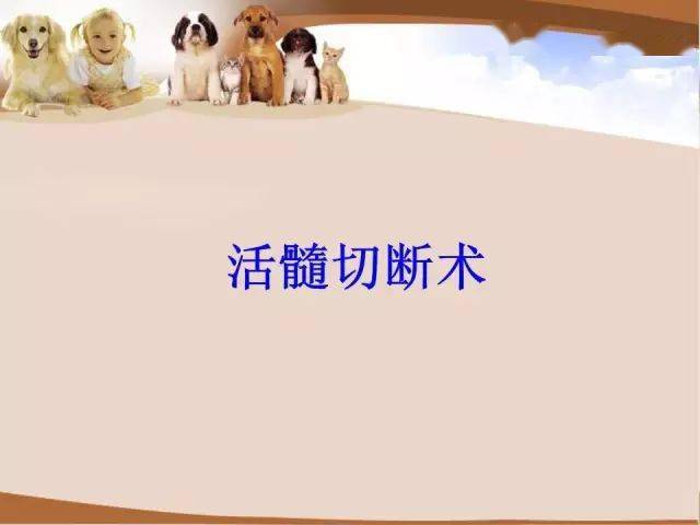 乳牙活髓切断术及预成冠修复术