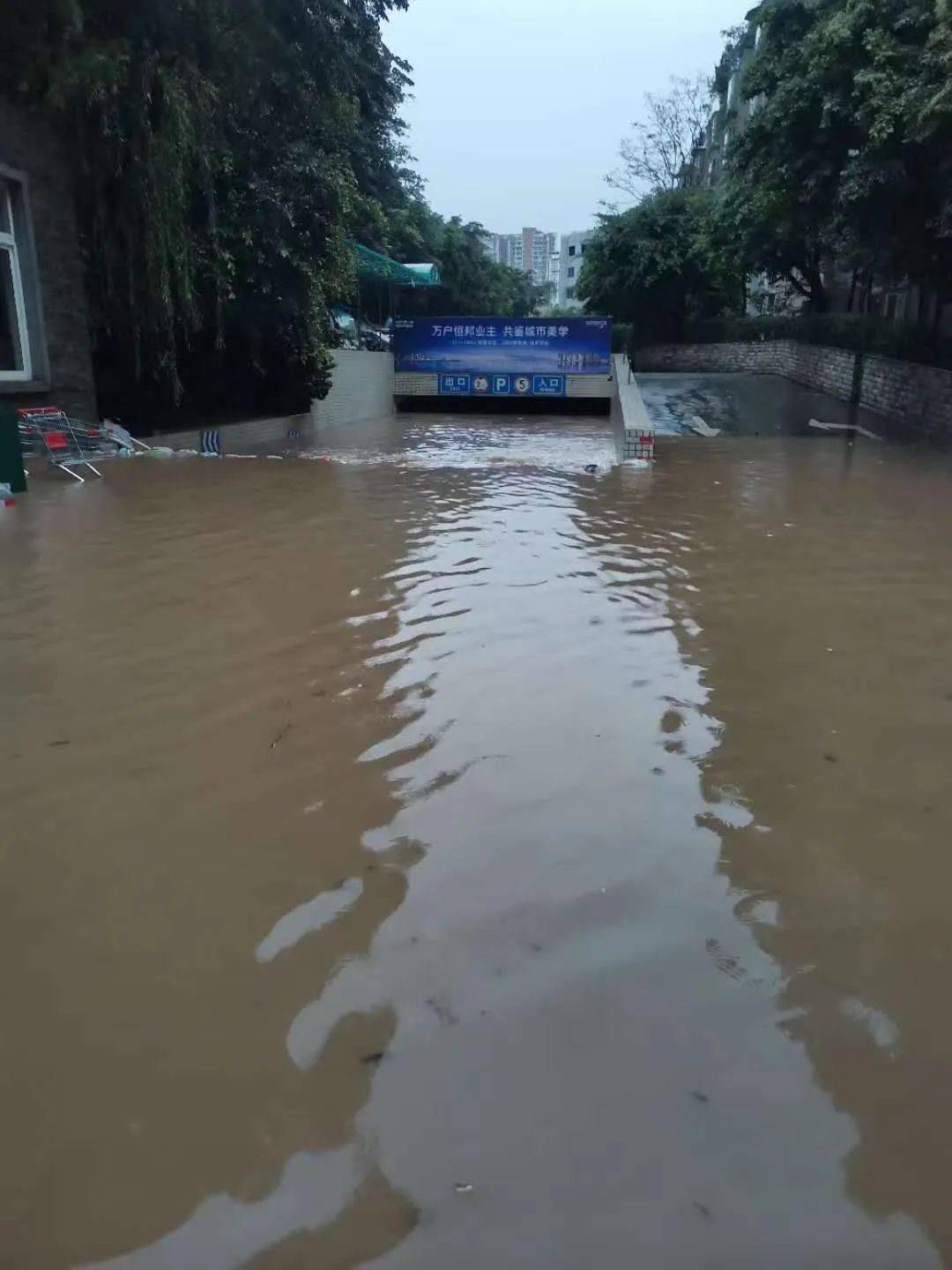 乐山暴雨再度袭城河水暴涨多处被淹一大波图片视频直击现场