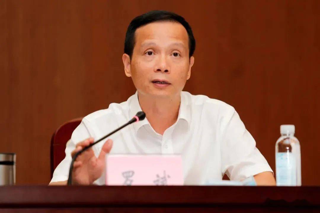 工程涉及面积极广:整个滨海湾新区,虎门的大宁,金洲,南栅等13个社区