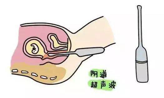 来自搜狐网