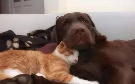 单身汪慎点少受点伤害对你有好处