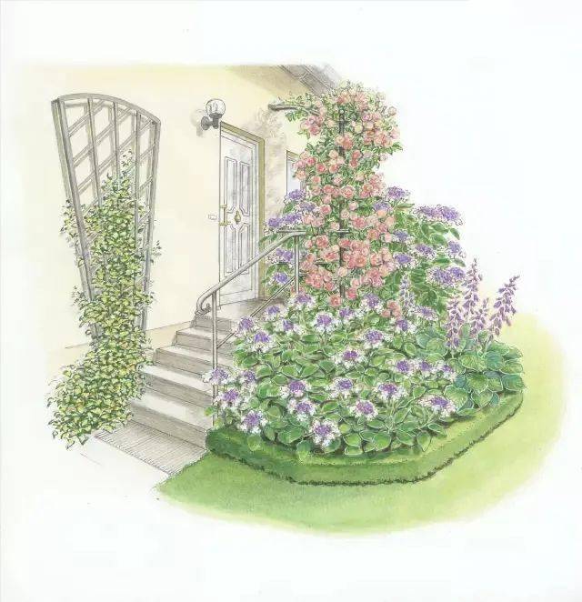 101款手绘花园院子植物小景