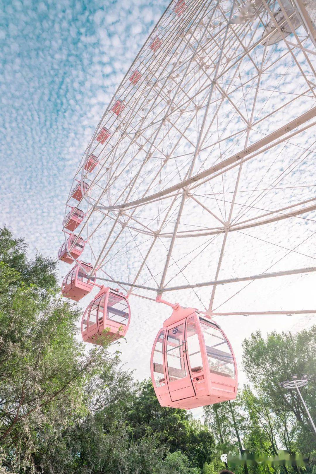送票武汉第一座粉色摩天轮来了转一圈1314