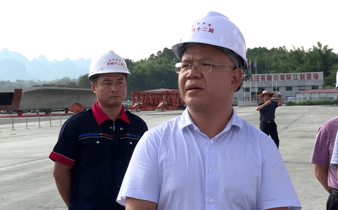 自治县党委书记黄荣彪现场调研河池市委常委,政法委书记莫振祖现场