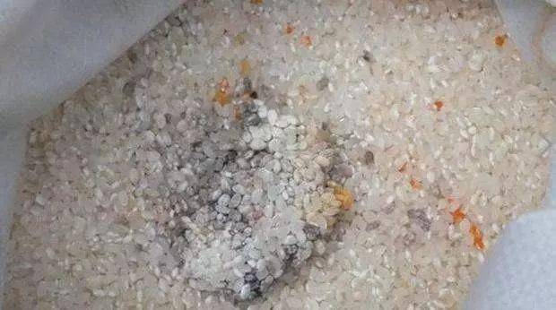 米面里的虫子是从哪来的?最后一招防虫很实用