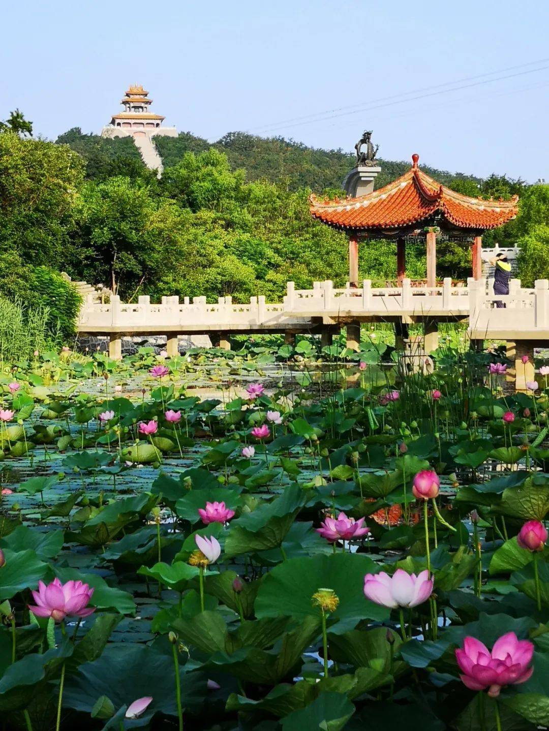 8月遼陽最佳旅遊景點每一個都美到窒息