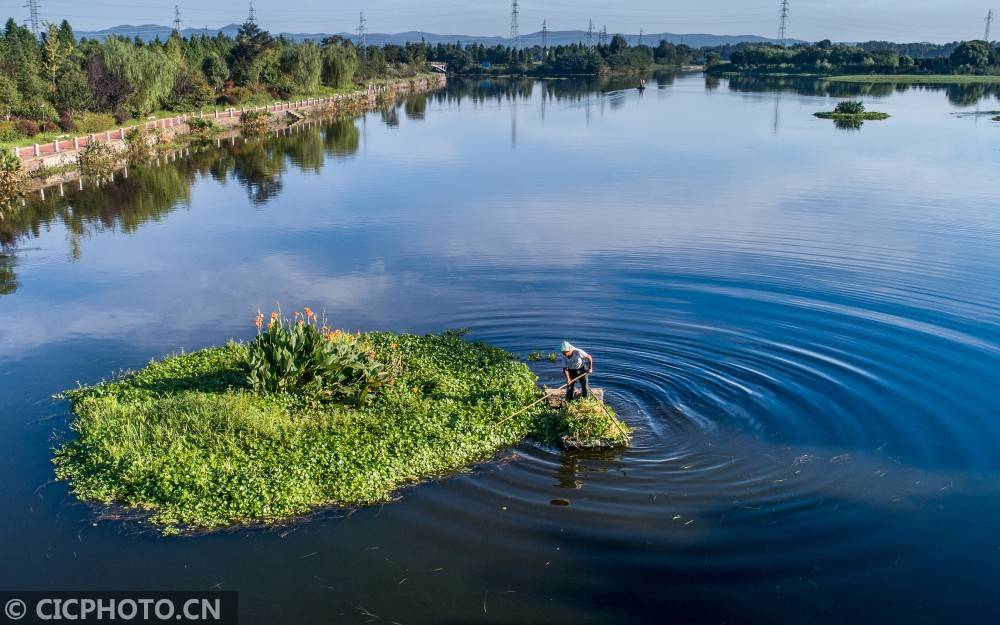 浙江长兴生态浮床净化水质
