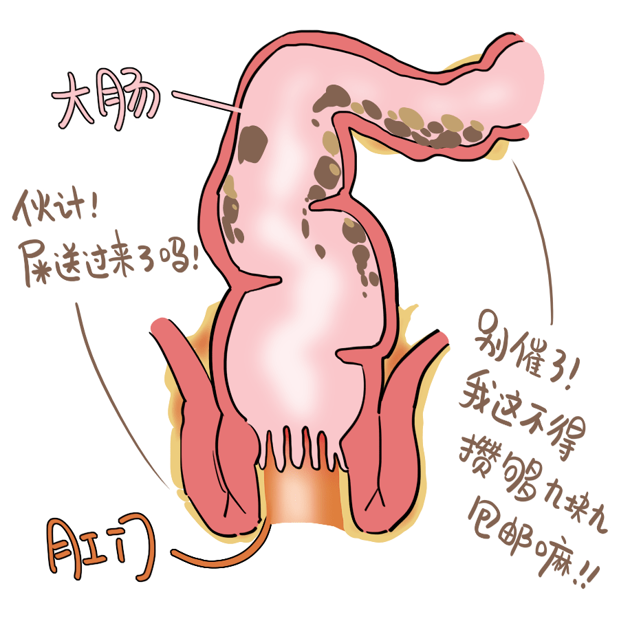 不是只有大便干才叫便秘!"憋得难受"请看这里!_大肠