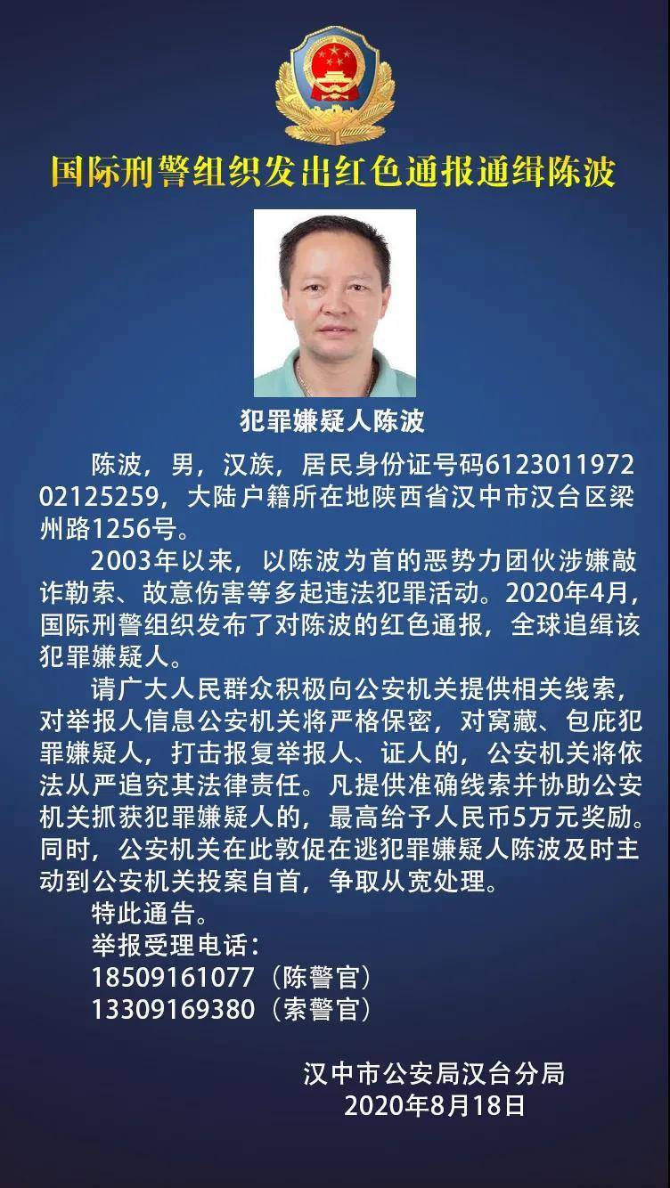 悬赏50000元,国际刑警组织红色通报通缉汉中籍男子_陈波