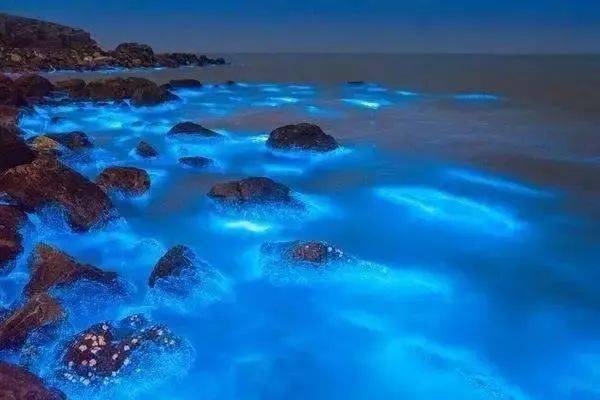 活动召集91920邂逅亚洲第一海钓场渔山岛探寻神秘蓝眼泪两日游活动