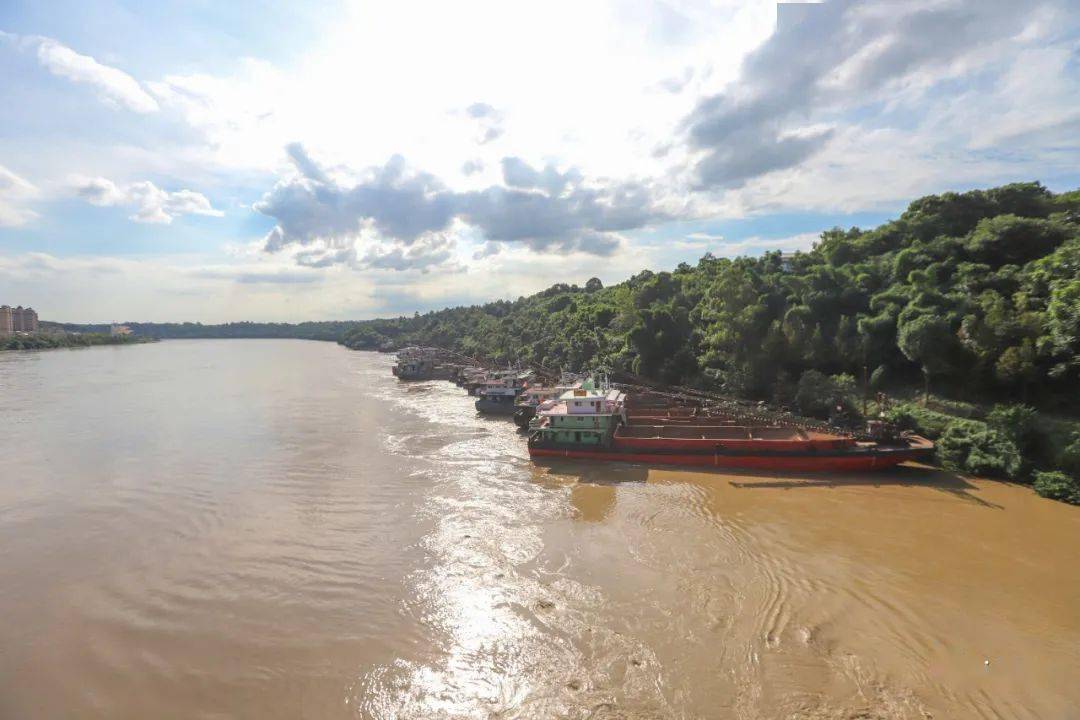 视频嘉陵江洪峰武胜段持续时间较长沿口码头水位上涨45米