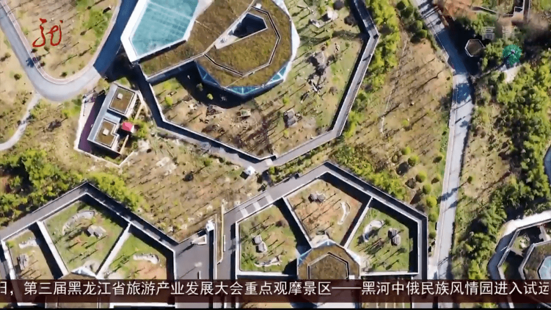 【龙视新闻联播】视频:爱熊猫小镇落户牡丹江