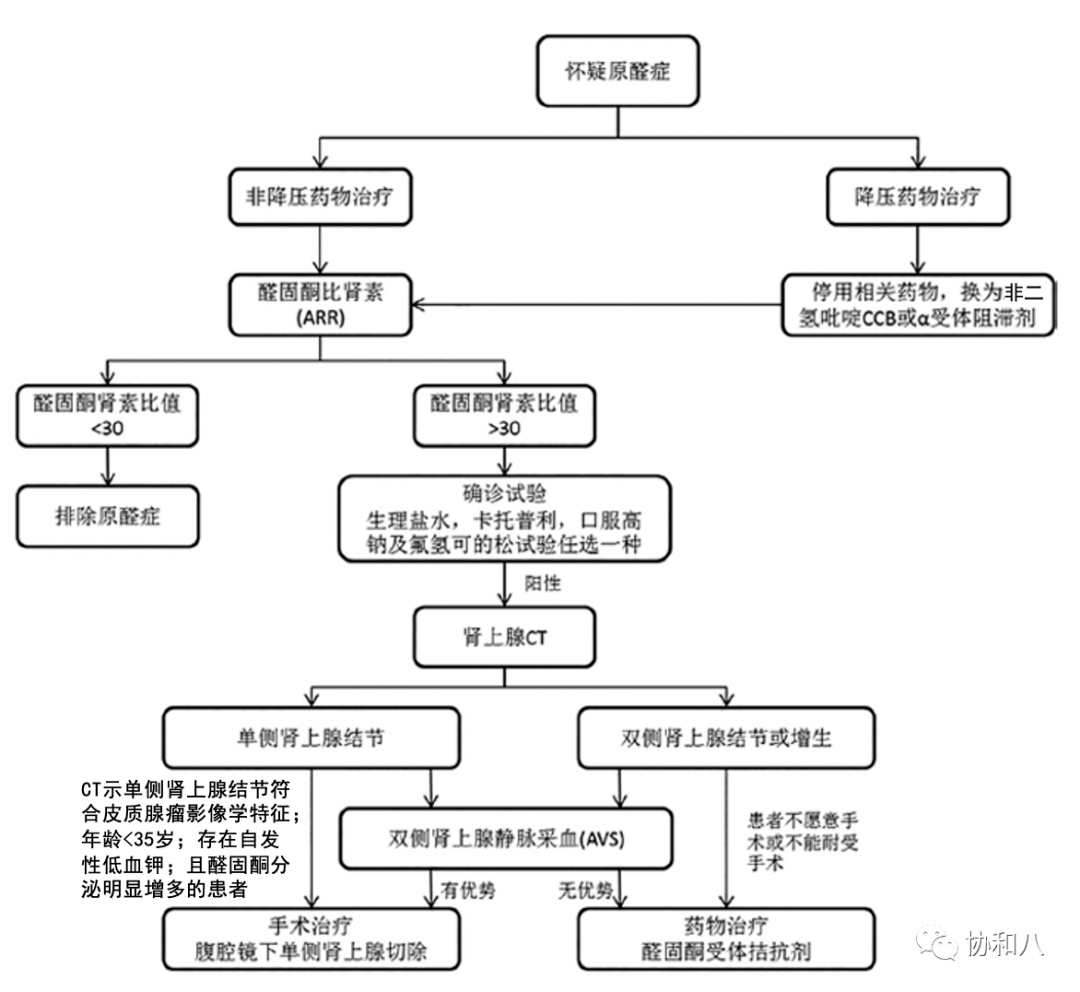 高血壓 低血鉀=原醛?