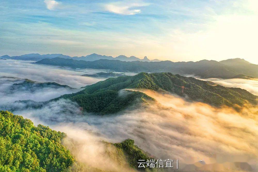 信宜大田頂的雲海見多了金垌徑口三嘜頂的雲海你見過了嗎