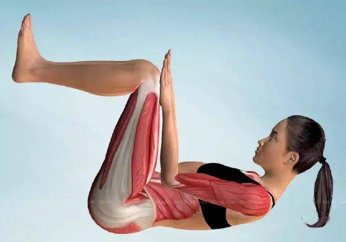 吉娜55cm"蚂蚁腰"引刘涛惊呼,想要腰细先激活腹横肌 6767_瑜伽