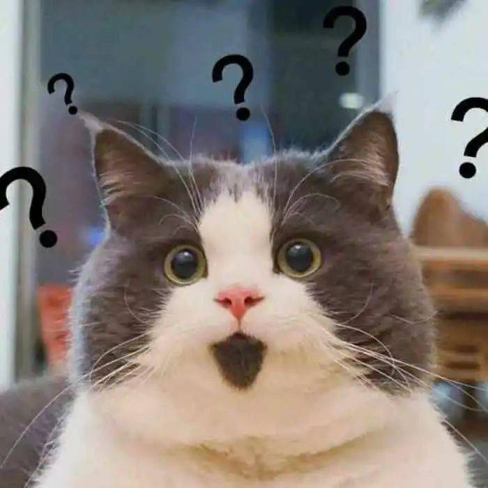 懵圈黄山两女子一波操作让人目瞪口呆竟给了对方20多万