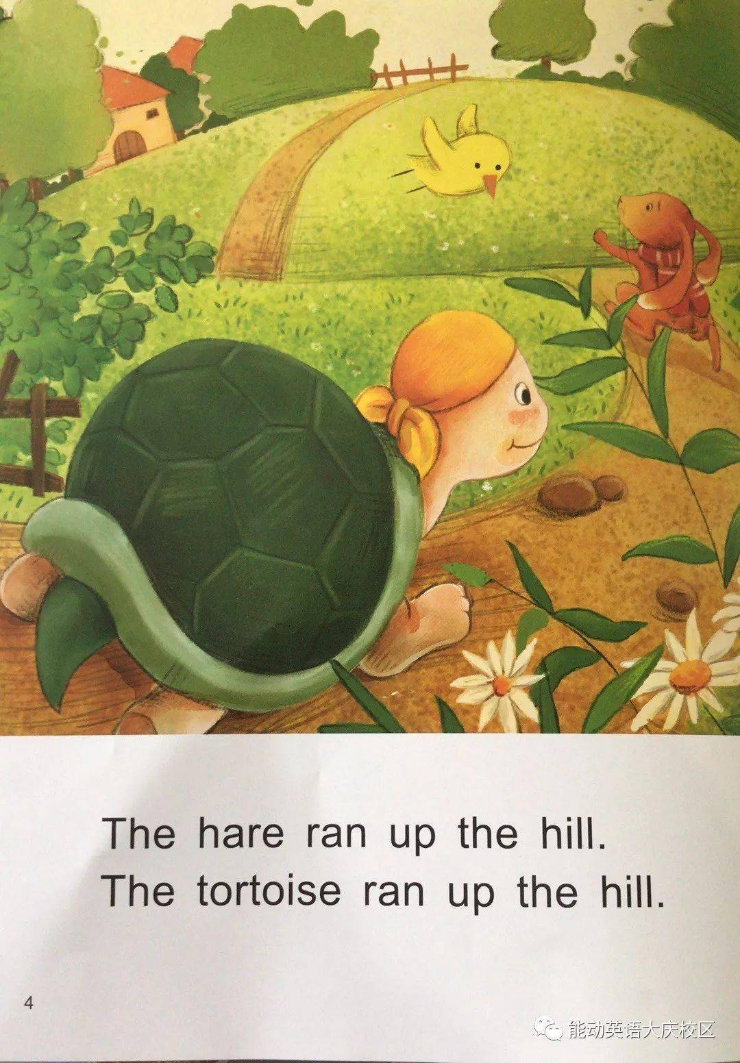 龟兔赛跑英文绘本简单图片