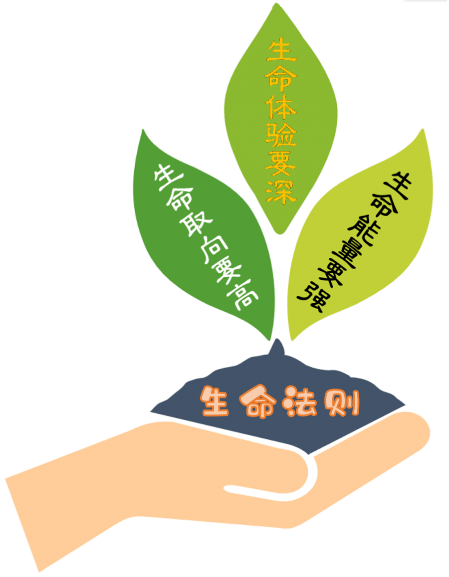 云盘小学荣获"文化建设先进学校"称号!_教育