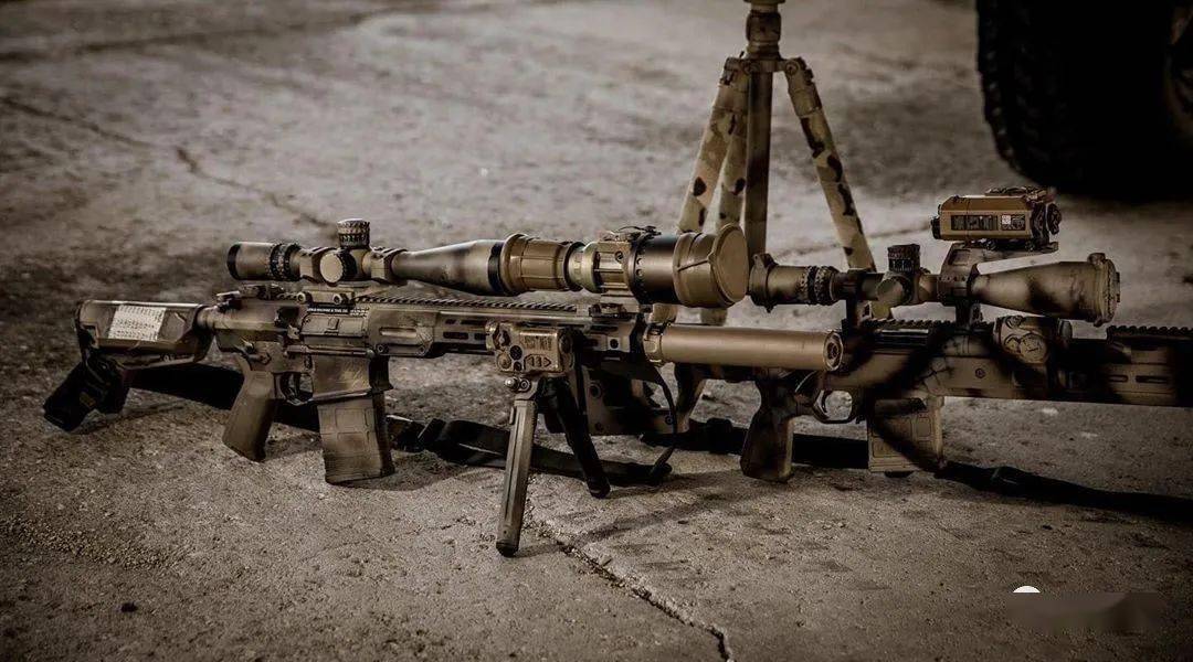 枪械骚图硬核党的绝佳拍档