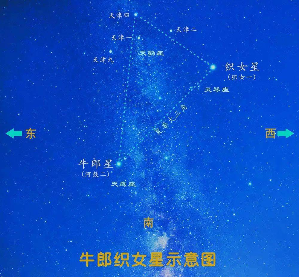 明晚七夕之夜,请与您最爱的人看星星拍拖