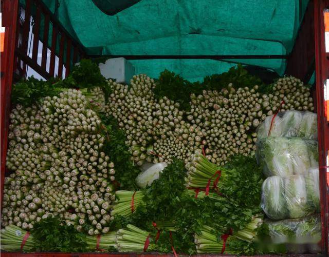 众志成城抢险救灾今天两当县5万余斤新鲜蔬菜装车驰援文县