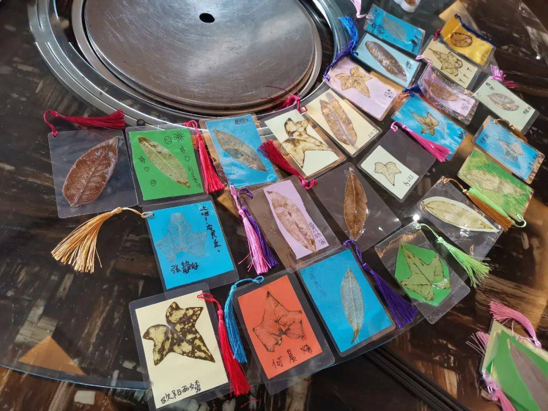 绿野仙踪自然笔记研学夏令营