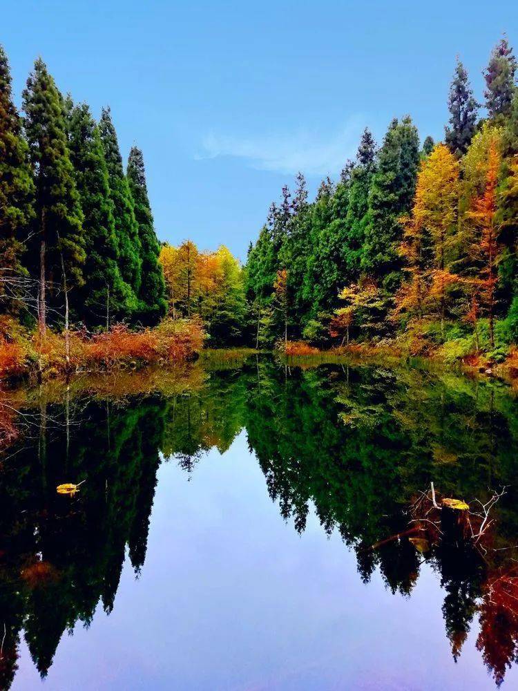 时隔45年后他们再一次相约来到利川甘溪山