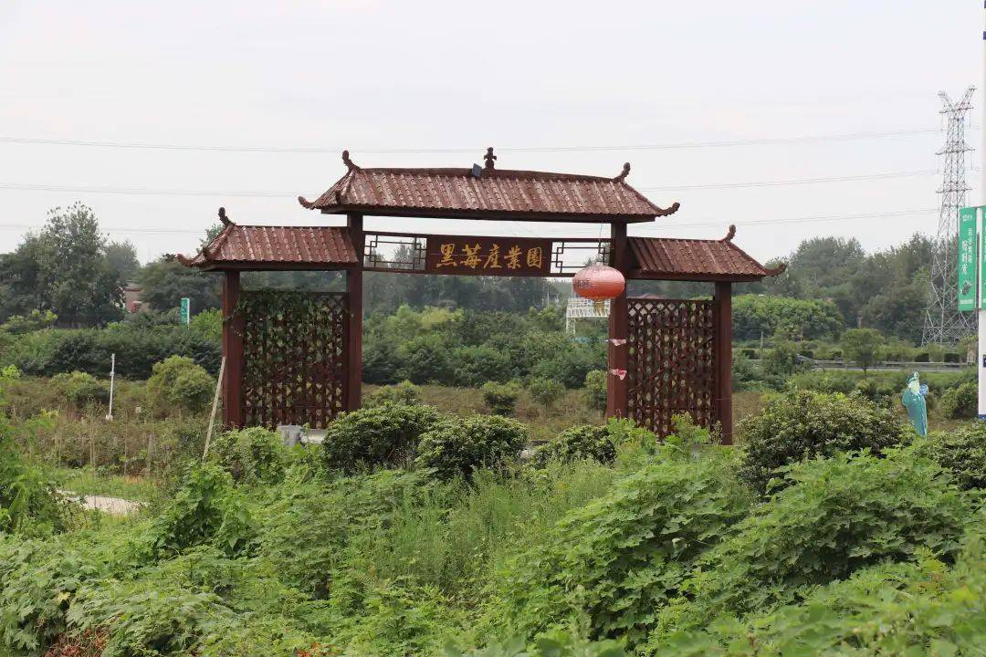 仪征这个镇旧貌换新颜._马集镇