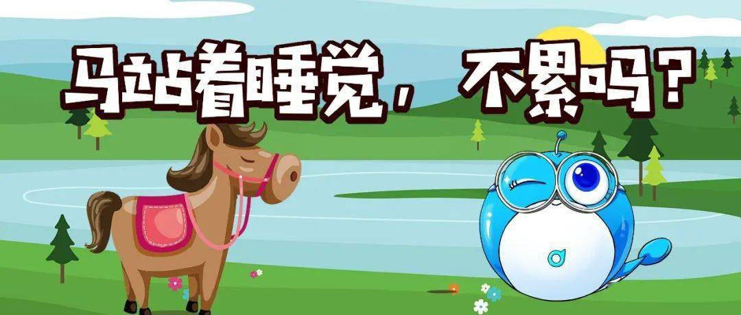 科普马为什么要站着睡觉难道不累吗