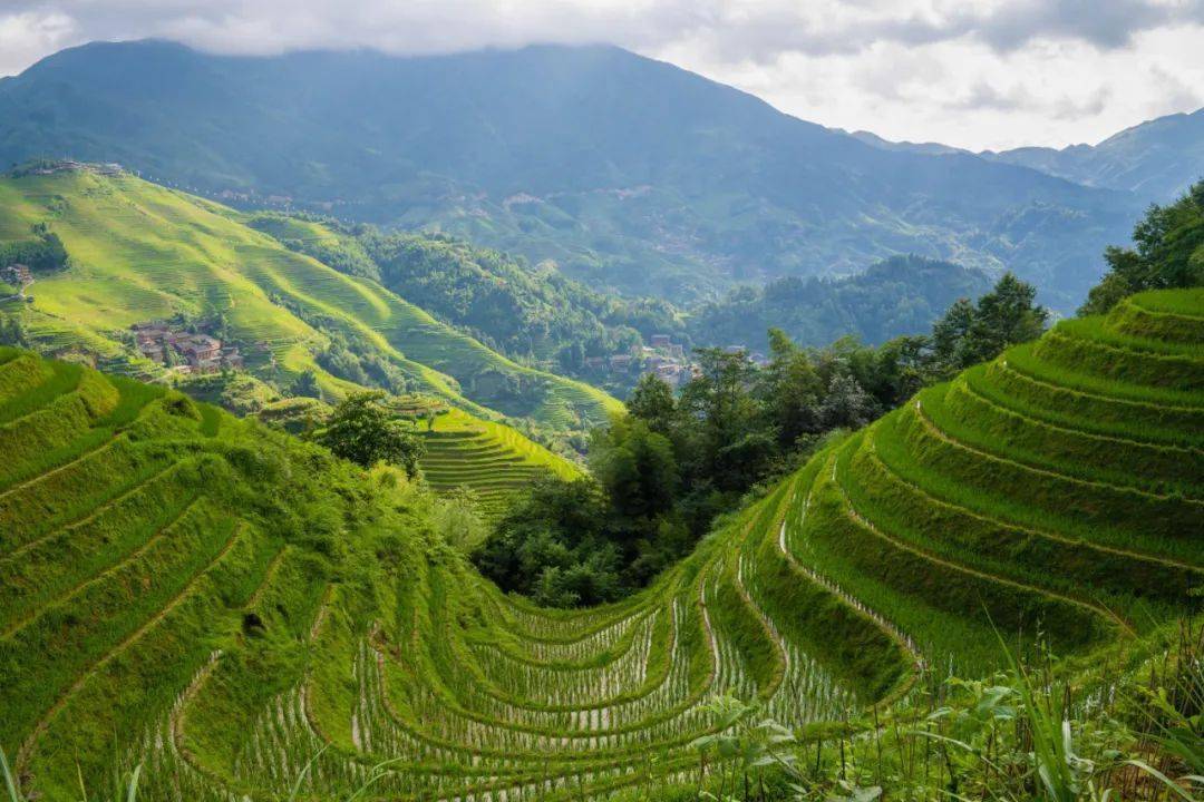 mm胃里面的风景图片