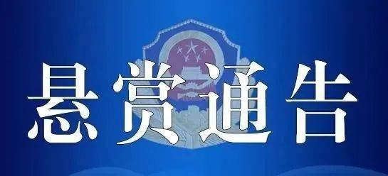 抓獲了一批犯罪嫌疑人,依法嚴厲打擊了黑惡勢力違法犯罪活動