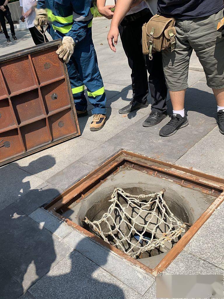 3d打印艺术井盖成都市政设施上新